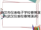 武汉市仪表电子学校曹博演讲(武汉仪表校曹博演讲)