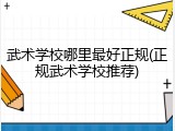 武术学校哪里最好正规(正规武术学校推荐)