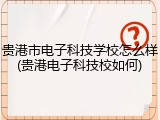 贵港市电子科技学校怎么样(贵港电子科技校如何)