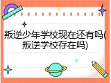 叛逆少年学校现在还有吗(叛逆学校存在吗)