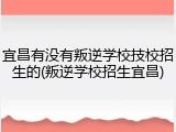 宜昌有没有叛逆学校技校招生的(叛逆学校招生宜昌)