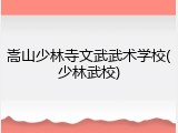 嵩山少林寺文武武术学校(少林武校)