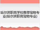 哈尔滨职高学校推荐宠物专业(哈尔滨职高宠物专业)