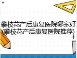 攀枝花产后康复医院哪家好(攀枝花产后康复医院推荐)