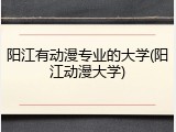 阳江有动漫专业的大学(阳江动漫大学)