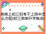 弟弟上初三怕考不上高中怎么办呢(初三弟弟升学焦虑)