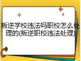叛逆学校违法吗职校怎么处理的(叛逆职校违法处理)