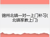 锦州北镇一对一上门补习(北镇家教上门)