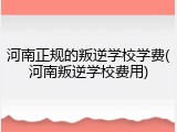 河南正规的叛逆学校学费(河南叛逆学校费用)