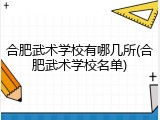 合肥武术学校有哪几所(合肥武术学校名单)