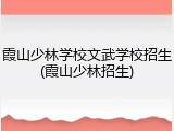 霞山少林学校文武学校招生(霞山少林招生)