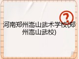 河南郑州嵩山武术学校(郑州嵩山武校)
