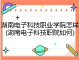 湖南电子科技职业学院怎样(湖南电子科技职院如何)