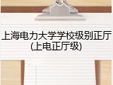 上海电力大学学校级别正厅(上电正厅级)
