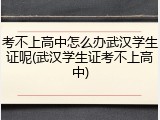 考不上高中怎么办武汉学生证呢(武汉学生证考不上高中)