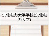东北电力大学学校(东北电力大学)