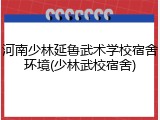 河南少林延鲁武术学校宿舍环境(少林武校宿舍)