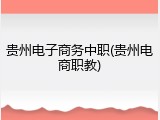 贵州电子商务中职(贵州电商职教)