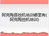 阿克陶县挖机培训哪里有(阿克陶挖机培训)