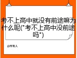 考不上高中就没有前途嘛为什么呢("考不上高中没前途吗")
