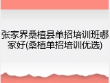 张家界桑植县单招培训班哪家好(桑植单招培训优选)