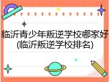 临沂青少年叛逆学校哪家好(临沂叛逆学校排名)