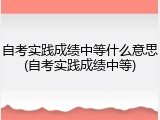 自考实践成绩中等什么意思(自考实践成绩中等)