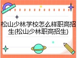 松山少林学校怎么样职高招生(松山少林职高招生)