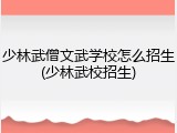 少林武僧文武学校怎么招生(少林武校招生)