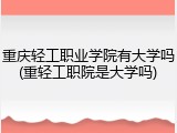重庆轻工职业学院有大学吗(重轻工职院是大学吗)