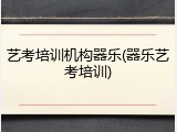 艺考培训机构器乐(器乐艺考培训)