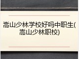 嵩山少林学校好吗中职生(嵩山少林职校)