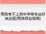 男孩考不上高中学啥专业好就业呢(男孩择业指南)