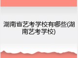 湖南省艺考学校有哪些(湖南艺考学校)