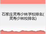 石家庄灵寿少林学校排名(灵寿少林校排名)