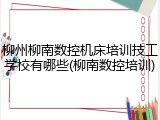 柳州柳南数控机床培训技工学校有哪些(柳南数控培训)