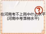 在河南考不上高中什么水平(河南中考落榜水平)