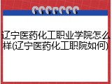 辽宁医药化工职业学院怎么样(辽宁医药化工职院如何)