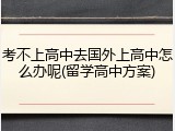 考不上高中去国外上高中怎么办呢(留学高中方案)