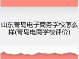 山东青岛电子商务学校怎么样(青岛电商学校评价)