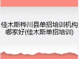 佳木斯桦川县单招培训机构哪家好(佳木斯单招培训)