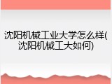 沈阳机械工业大学怎么样(沈阳机械工大如何)