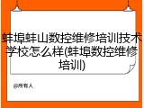 蚌埠蚌山数控维修培训技术学校怎么样(蚌埠数控维修培训)