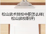 松山武术技校中职怎么样(松山武校职评)