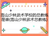 嵩山少林武术学校的总教练是谁(嵩山少林武术总教练)