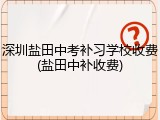 深圳盐田中考补习学校收费(盐田中补收费)