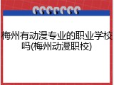 梅州有动漫专业的职业学校吗(梅州动漫职校)