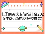 电子商务大专院校排名2025年(2025电商院校排名)