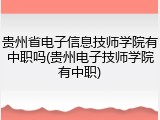 贵州省电子信息技师学院有中职吗(贵州电子技师学院有中职)