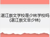 湛江崇文学校是少林学校吗(湛江崇文非少林)